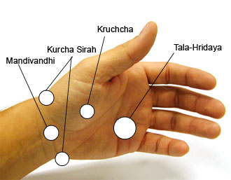 Die Lage der Marma Punkte an den Händen.